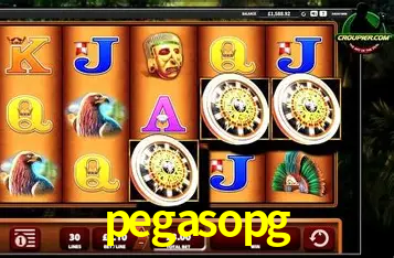 Programa VIP pegasopg